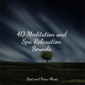 40 Meditation and Spa Relaxation Sounds