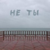 Не ты