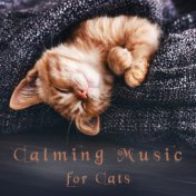 Calming Music for Cats: Soothing and Gentle Sounds for Relaxation