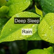 Deep Sleep Rain