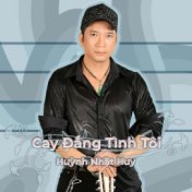 Cay Đắng Tình Tôi