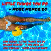 Little Things You Do + More Memories