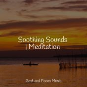 Soothing Sounds | Meditation