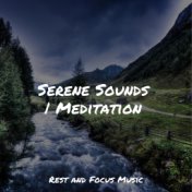 Serene Sounds | Meditation