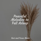 Peaceful Melodies to Fall Asleep