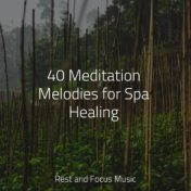 40 Meditation Melodies for Spa Healing