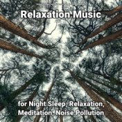 Relaxation Music for Night Sleep, Relaxation, Meditation, Noise Pollution