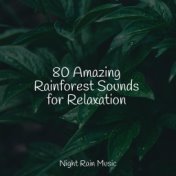 80 Amazing Rainforest Sounds for Relaxation