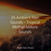 25 Ambient Rain Sounds - Tropical Mother Nature Sounds