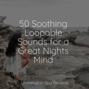 50 Soothing Loopable Sounds for a Great Nights Mind
