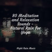 80 Meditation and Relaxation Sounds - Natural Rain for Yoga