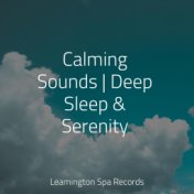 Calming Sounds | Deep Sleep & Serenity