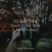 80 Best Rain Sounds for Spa & Mindfulness