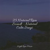 25 Natural Rain Sounds - Natural Calm Songs