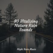 80 Vitalizing Nature Rain Sounds