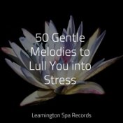 50 Gentle Melodies to Lull You into Stress