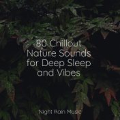 80 Chillout Nature Sounds for Deep Sleep and Vibes