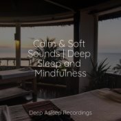 Calm & Soft Sounds | Deep Sleep and Mindfulness