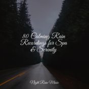 80 Calming Rain Recordings for Spa & Serenity