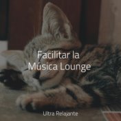 Facilitar la Música Lounge