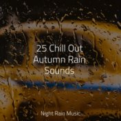 25 Chill Out Autumn Rain Sounds