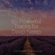 50 Powerful Tracks for Deep Sleep