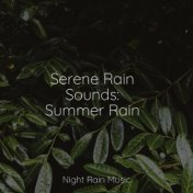 Serene Rain Sounds: Summer Rain