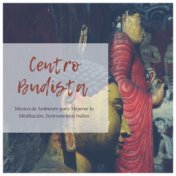 Centro Budista: Música de Ambiente para Mejorar la Meditación, Instrumentos Indios