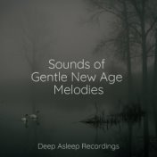 Sounds of Gentle New Age Melodies