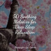 50 Soothing Melodies for Deep Sleep Relaxation