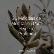 25 Melodías de Meditación Para el Sueño Profundo