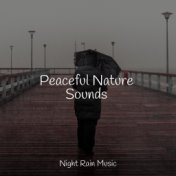 Peaceful Nature Sounds