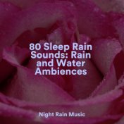 80 Sleep Rain Sounds: Rain and Water Ambiences