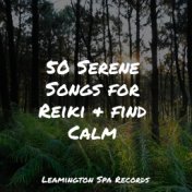 50 Serene Songs for Reiki & find Calm