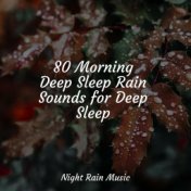 80 Morning Deep Sleep Rain Sounds for Deep Sleep