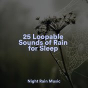 25 Loopable Sounds of Rain for Sleep