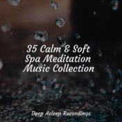 35 Calm & Soft Spa Meditation Music Collection