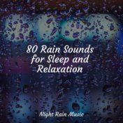 80 Rain Sounds for Sleep and Relaxation