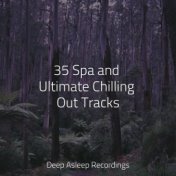 35 Spa and Ultimate Chilling Out Tracks