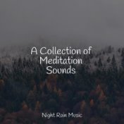 A Collection of Meditation Sounds