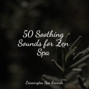 50 Soothing Sounds for Zen Spa