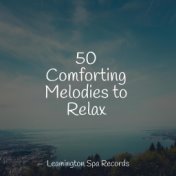 50 Comforting Melodies to Relax