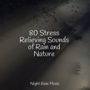 80 Stress Relieving Sounds of Rain and Nature