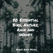 80 Essential Bird, Nature, Rain and Waves