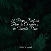 25 Piezas Pacíficas Para la Curación y la Atención Plena