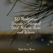 80 Meditation Sounds - Tranquil Bird, Nature, Rain and Waves