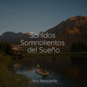 Sonidos Somnolientos del Sueño