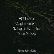 80 Track Ambience - Natural Rain for Your Sleep