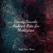 Beauty Sounds: Ambient Rain for Meditation