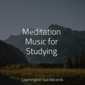 Meditation Music for Studying